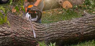 Best Weed Control  in Miles, TX