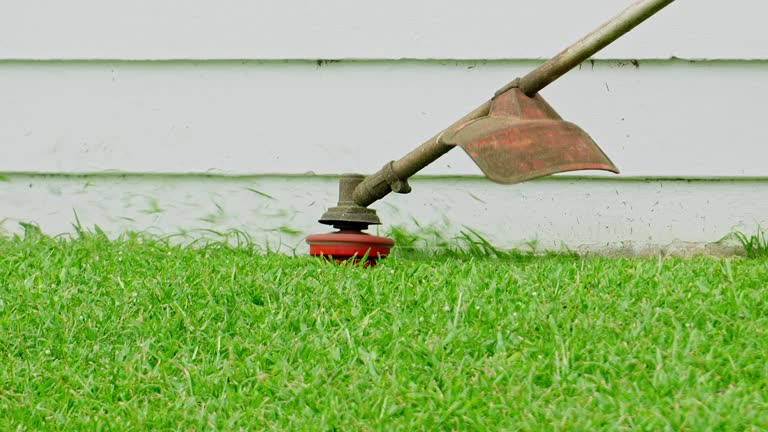 Best Sod Installation  in Miles, TX